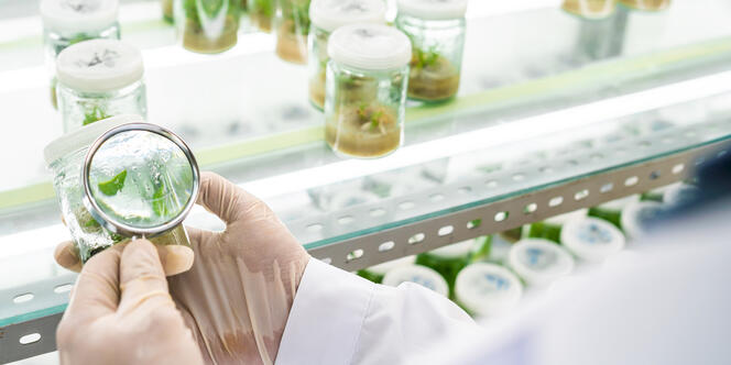 JRS desarrolla soluciones personalizadas que hacen que su producto sea mejor de forma sostenible.